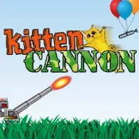 Kitten Cannon