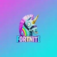 Ohio Fortnite