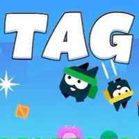 Tag 2-4 Players
